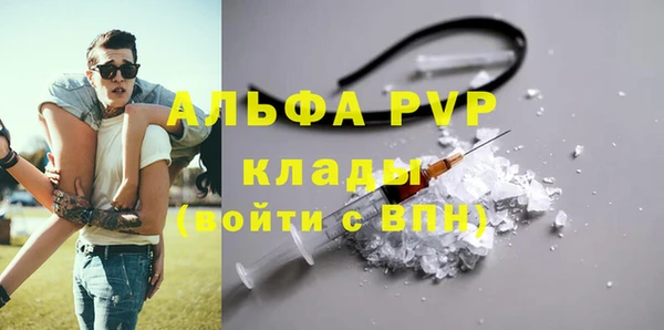сатива Вяземский