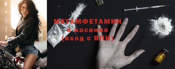 ПСИЛОЦИБИНОВЫЕ ГРИБЫ Вязьма