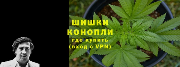 сатива Вяземский