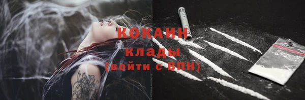 ПСИЛОЦИБИНОВЫЕ ГРИБЫ Вязьма