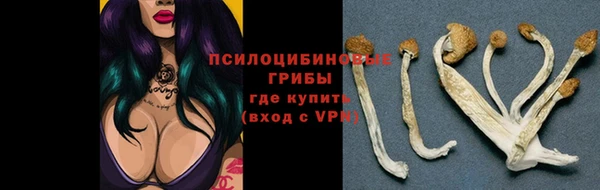 ПСИЛОЦИБИНОВЫЕ ГРИБЫ Вязьма