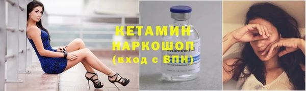 сатива Вяземский