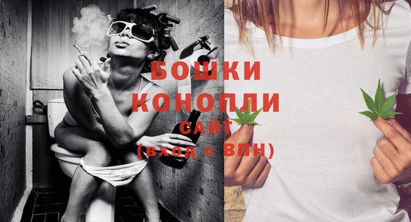 сатива Вяземский