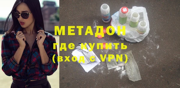 сатива Вяземский
