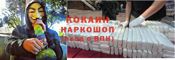 сатива Вяземский