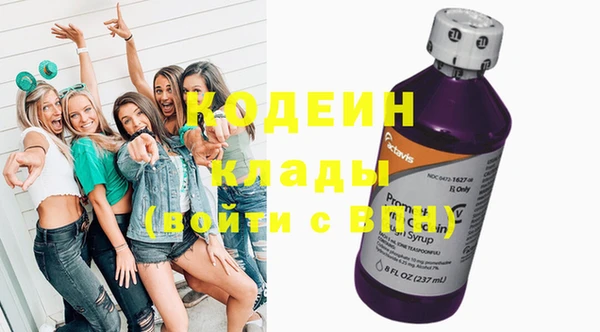 сатива Вяземский