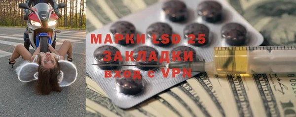сатива Вяземский